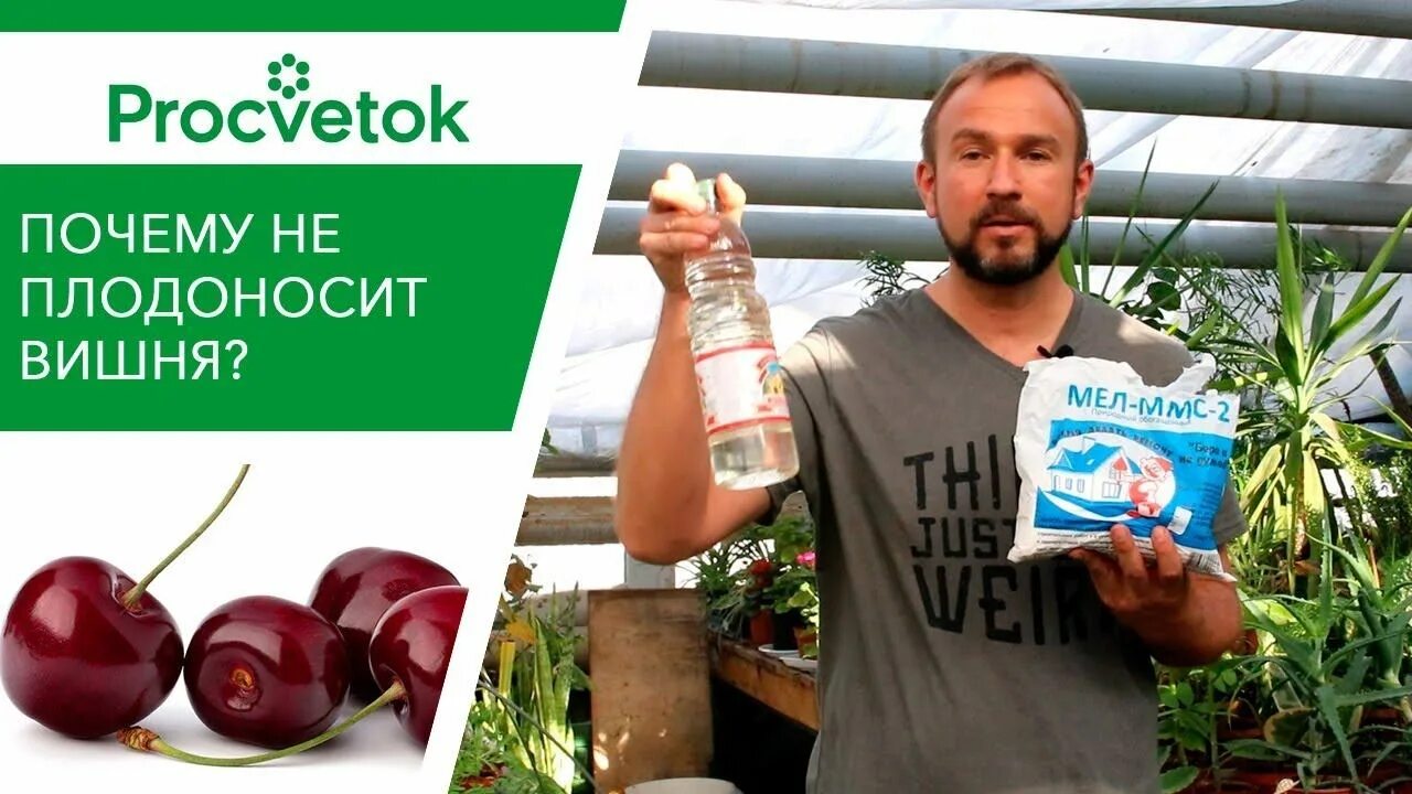 Аминосилан удобрение для растений. Подкормка комнатных растений дрожжами. Процветок подкормка. Зеленое удобрение. Процветок подкормка.