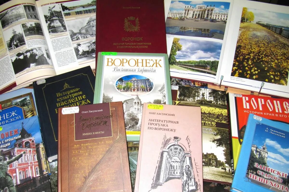 Воронежский справочник. Книги воронежских писателей. Поэты и Писатели Воронежского края. Книги о Воронеже. Книги воронежских писателей для детей.