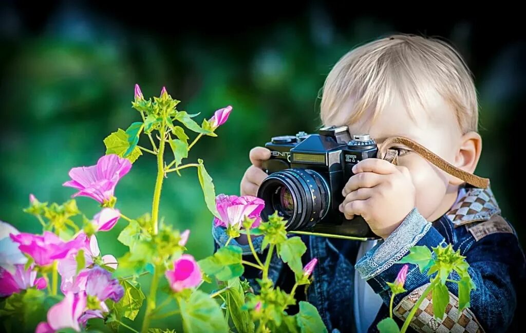 Фотограф ребенок. Фотоаппарат для детей. Мальчик с фотоаппаратом. Фотографирует цветы.