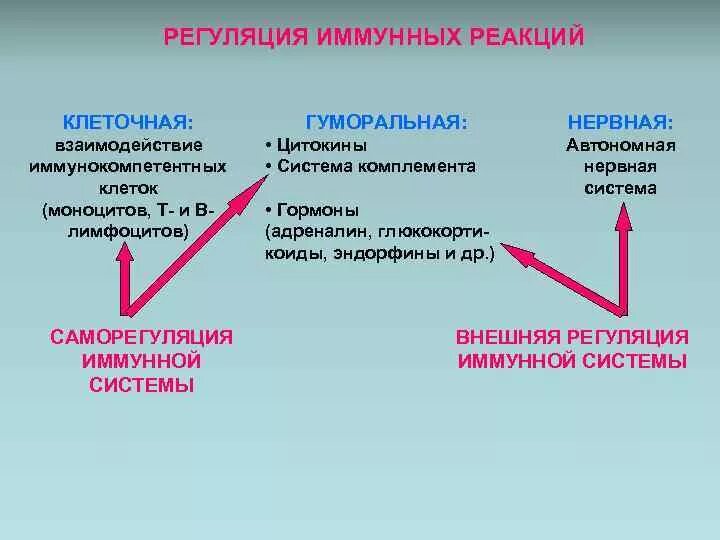 Нервно гуморальная реакция. Механизмы регуляции иммунного ответа иммунология. Регуляция иммунных реакций. Регуляция иммунитета. Регуляция иммунитета. Иммунная Регуляторная система.