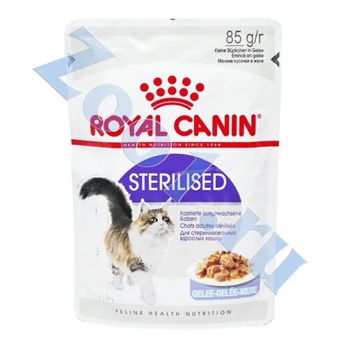 Корм влажный Royal Canin Sterilised. Royal Canin Sterilised желе. Royal Canin Pouch Indoor Sterilised 7+ в желе,. Royal Canin Sterilised соус. Желе для стерилизованных кошек