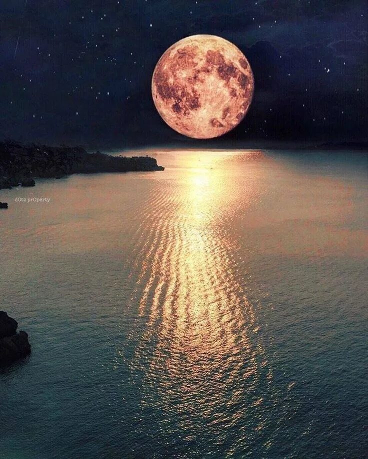 Картинки moon. Красивая Луна. Огромная Луна. Полнолуние. Самая красивая Луна.