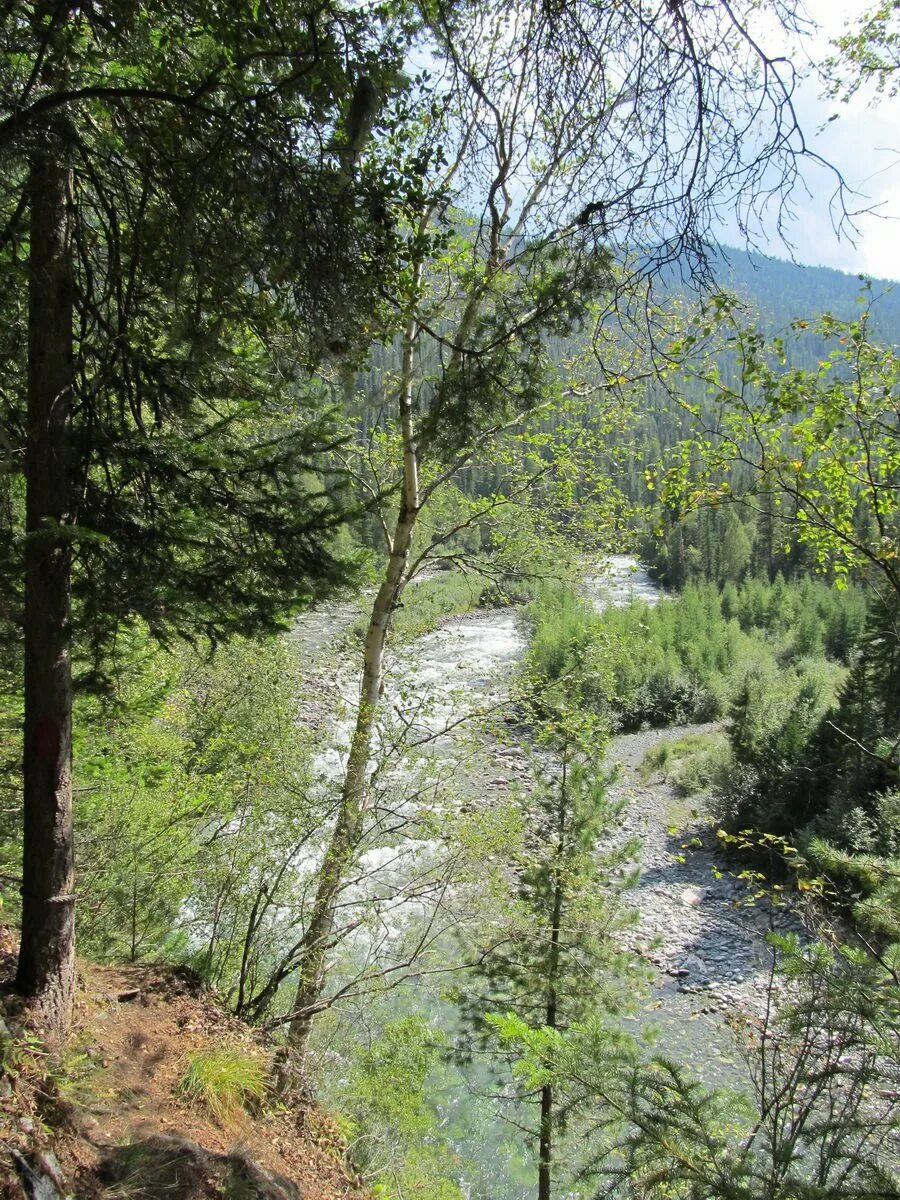 Тайга 18. Печь для бани тайга. Сибирский, таежный, лесной, дикий. Тайга 18. Троицко-печорский заповедник.