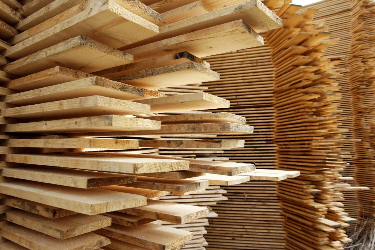 Из какого материала стали или дерева следует. Дерево строительный материал. Стройматериалы из дерева. Древесина и пиломатериалы. Строительные материалы из древесины.