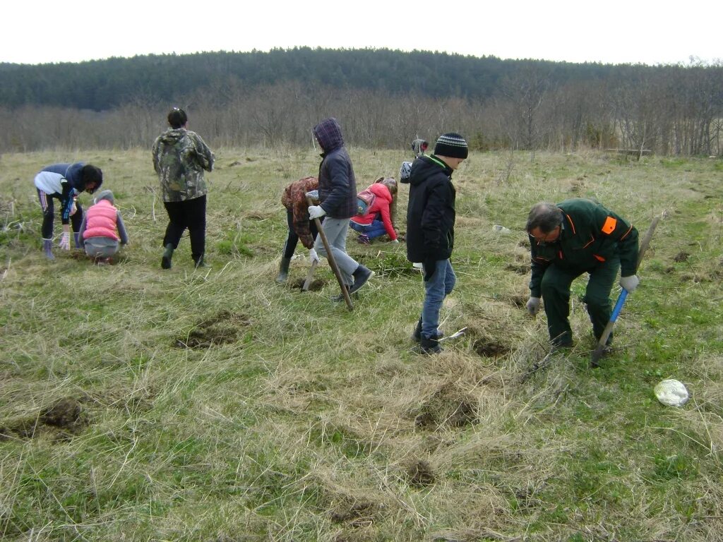 Озёрское Сахалинская область. Село Озерское Сахалинская область. Корсаковский лесхоз Сахалинской области. Школьный распадок Корсаковский район.