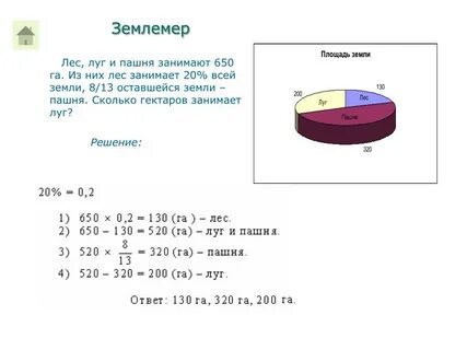 Сколько в процентах занимают леса