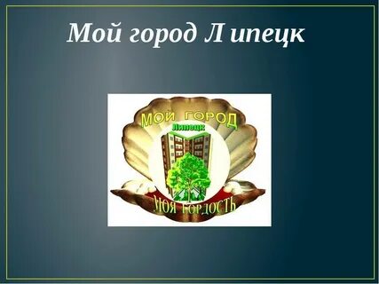Проект липецк