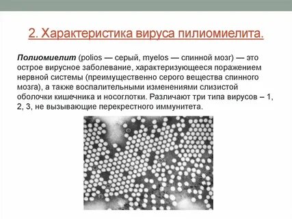 Параметры вирусов