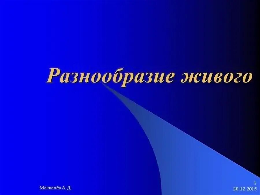 Разнообразием 2. Разнообразием 2. Многообразные живые организмы. Многообразие форм познания план. Diversity векторная графика.