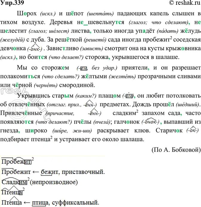 Русский язык 9 класс бархударов упр 339. 339 Русский язык 8 класс. Упр 339 по русскому языку 8 класс.