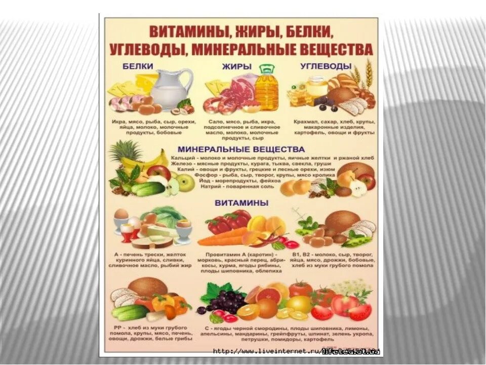 Какие продукты относятся к функциональному питанию. Таблица продуктов белки жиры углеводы. В каких продуктах содержится белки жиры и углеводы таблица. Белки жиры углеводы витамины в продуктах. Углеводы белки жиры список продуктов таблица.