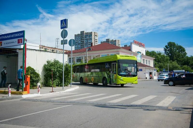 Автовокзал Южный Волгоград. Центральный автовокзал Волгоград. Автовокзал автобусы Волгоград. Картинки автовокзал в Волгограде.