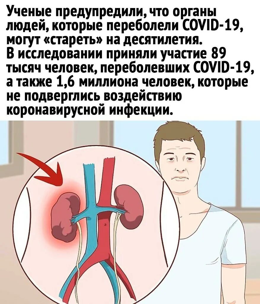 Почему плохие почки