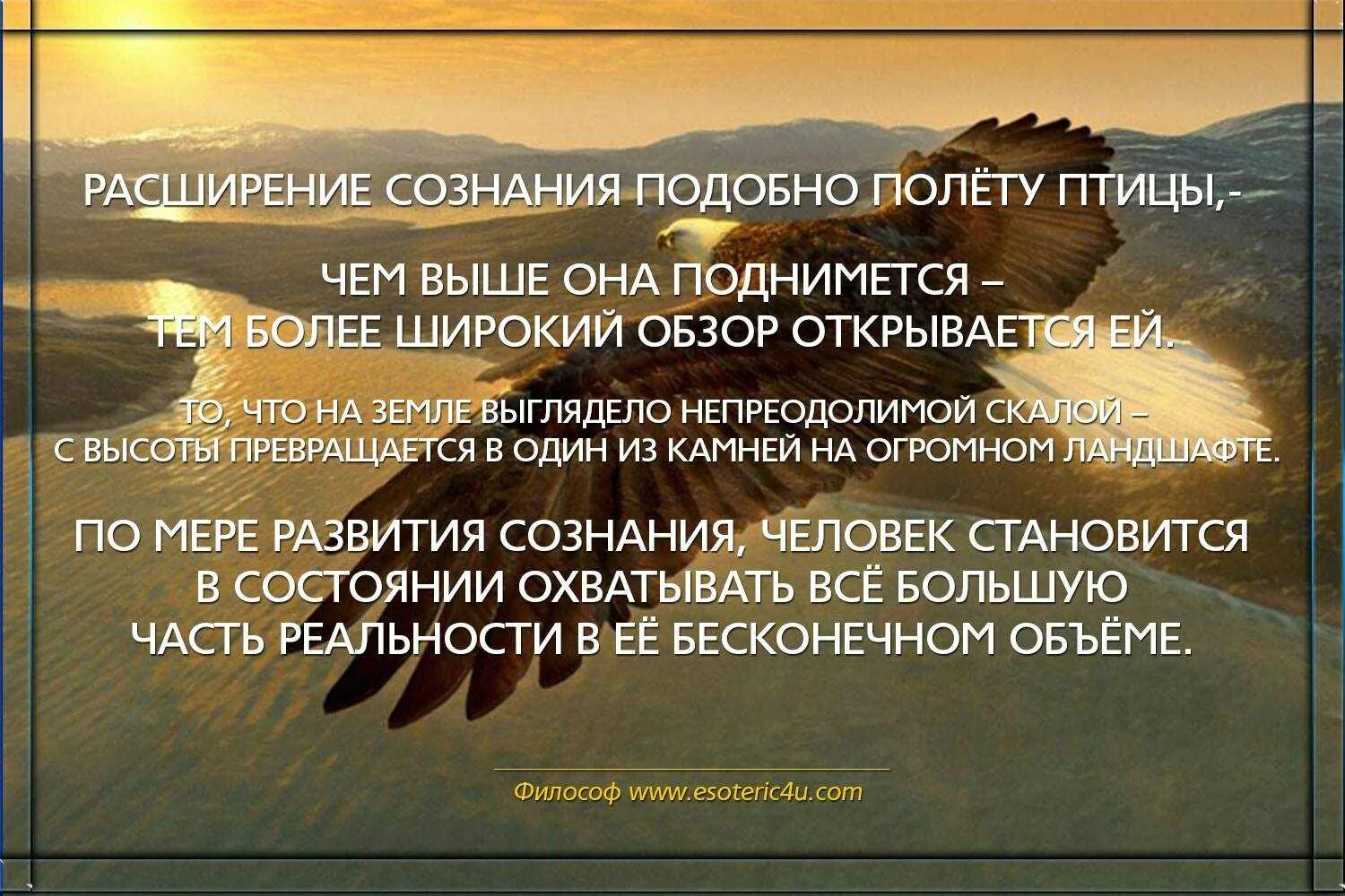 Подсознание цитаты. Цитаты про сознание. высказывания о сознании. цитаты про сознание человека.