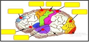 Мексикадағы демалыс: түнде секс