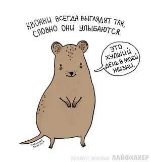 Интересное про животных смешное