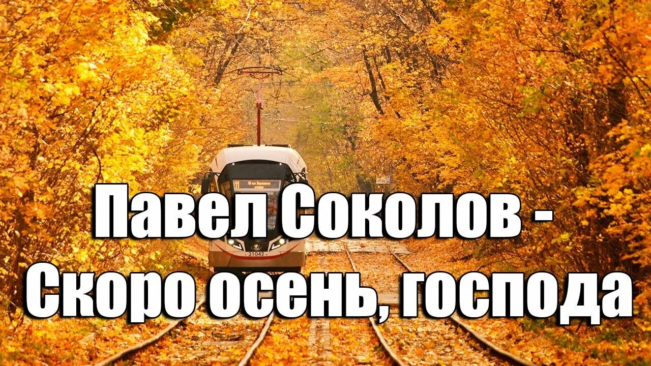 Соколов скоро осень Господа. Снова осень Господа.