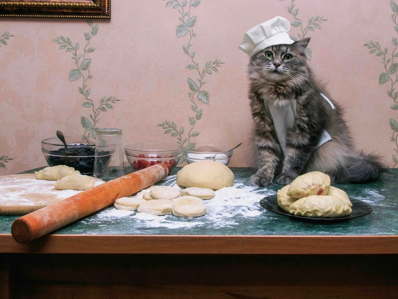 Cats kitchen. Кот пельмень. Кот готовит. Кошка на кухне. Котенок в муке.