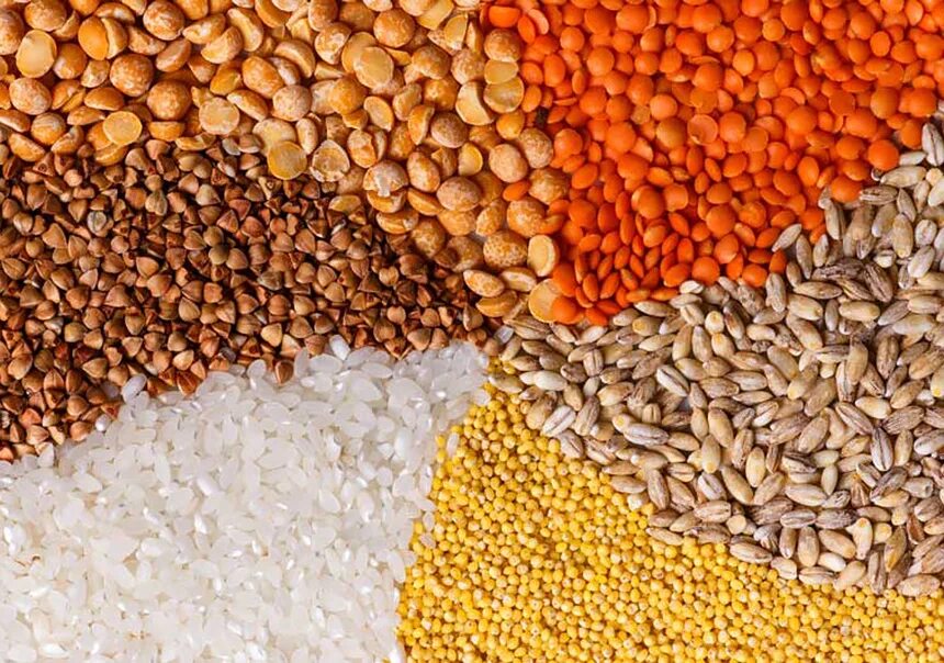 Зерно бывает. Крупы гречка рис пшено. Пшеница зерно мука. Зерно бывает. Пшеница кормовая.