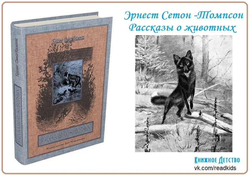 Бинго эрнест сетон томпсон. Рисунок к произведению вулли. Эрнест сетон-томпсон вулли. Вулли сетон томпсон. Эрнест сетон-томпсон рассказы о животных.