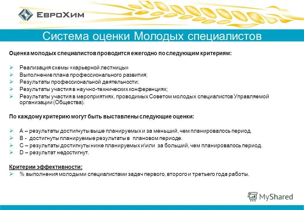 программа поддержки молодых специалистов