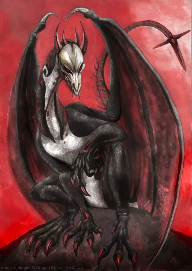 Who trades vampire dragon. Дракончики вампиры. Who trades vampire dragon. Дракон вампир арт. Who trades vampire dragon.