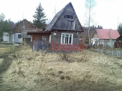 Лейпясуо выборгский
