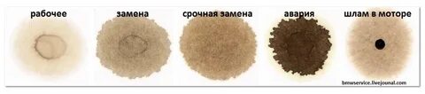 Проверка качества масла