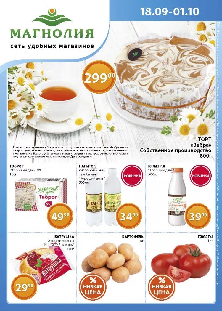 Магнолия акции москва. Магнолия каталог. Шоколад магнолия. Магнолия магазин акция. Магнолия магазин каталог.