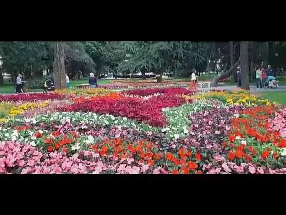 Гомель белоруссия. Видео гомельский парк. Гомель центральный парк. Гомель парк над сожем. Гомель достопримечательности.