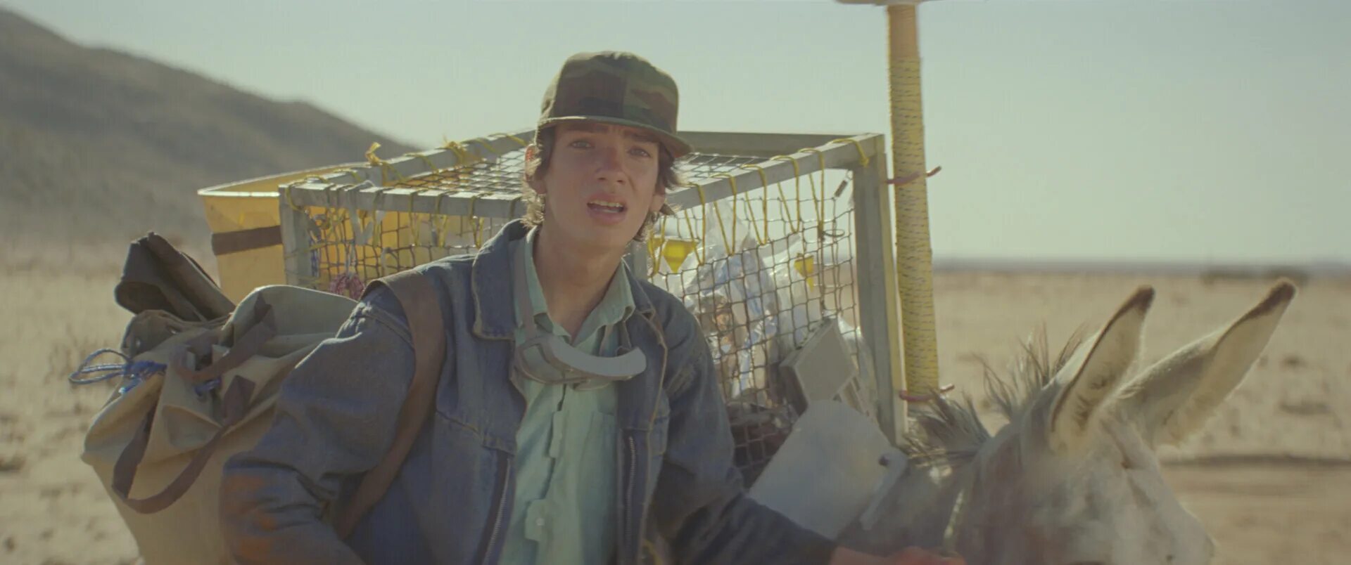 Молодежь 2014. Сенеж территория смыслов. Эль фаннинг и николас холт. Сенеж территория смыслов. Молодежь 2014.