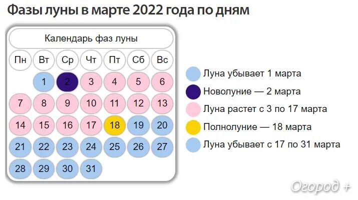 Какая луна в марте 2024г для стрижки. Календарь садовода и огородника на 2022. Лунный календарь на март 2022. Посевной календарь на март 2022 года. Лунный посевной календарь на февраль 2022 года.