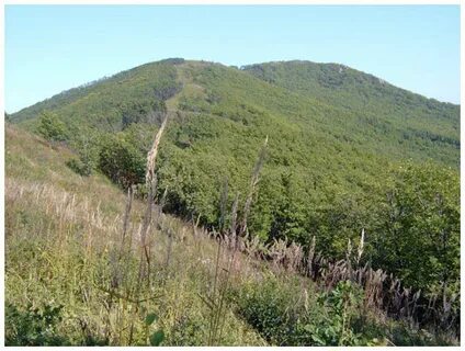 Село ляличи приморский край