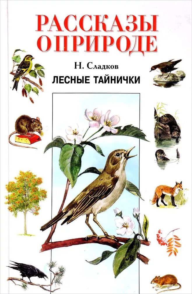 Сладков лесные рассказы. Книга Сладков рассказы о природе. Книги Николая Сладкова о природе и животных. Н. Сладков "Лесные тайнички". Сладков книги для детей о природе.