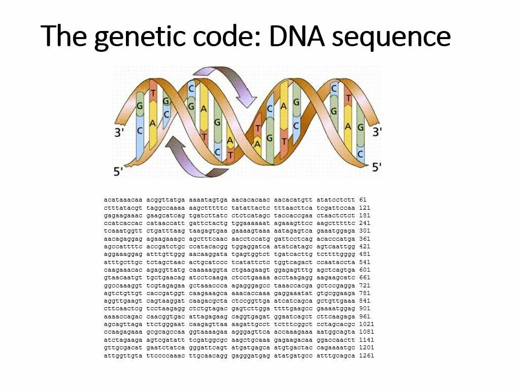 Строение днк генетический код. Genetic code dna. генетический код вируса. генетический код картинки для презентации.