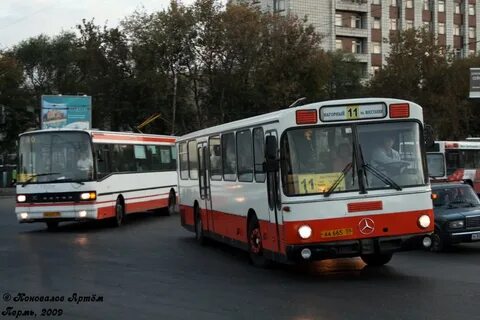 59 пермский край