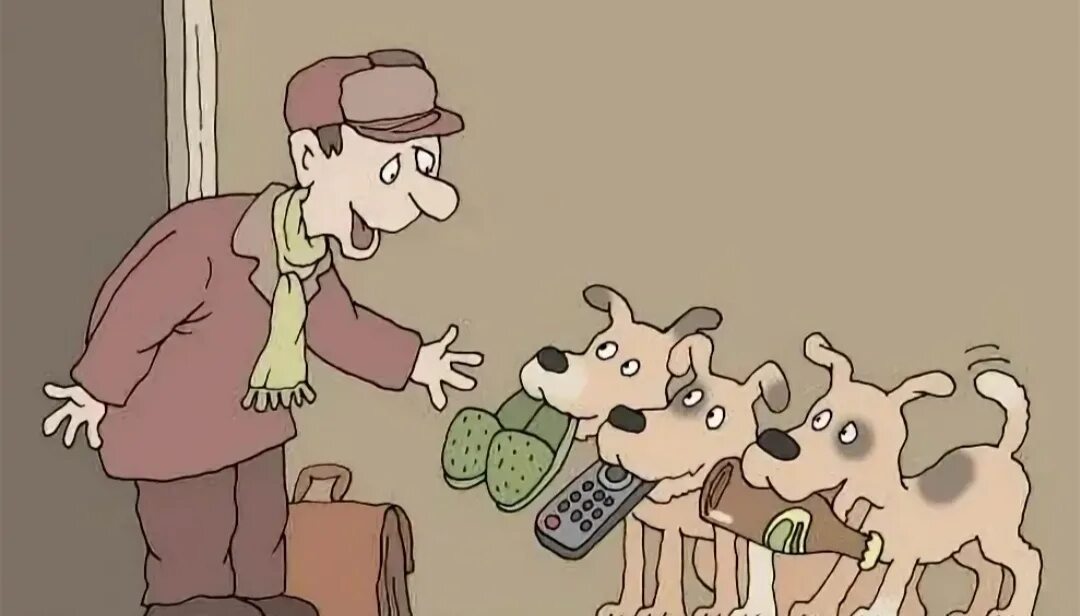 Собака карикатура. Карикатуры про собак и хозяев. Карикатуры про собак смешные. Шавка и хозяин карикатура. Хозяином и сторожем