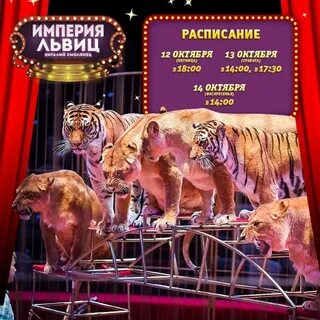Цирк магнитогорск расписание 2024