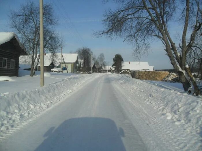 Погода деревня никольское. Деревня Куревино Никольский район Вологодская область. Павино (село, Костромская область). Деревня Осиново Никольский район. Район деревня Павино.