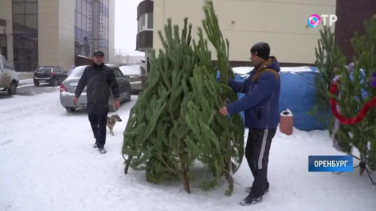 адреса елочных базаров в новосибирске