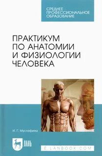 Практические работы по анатомии человека