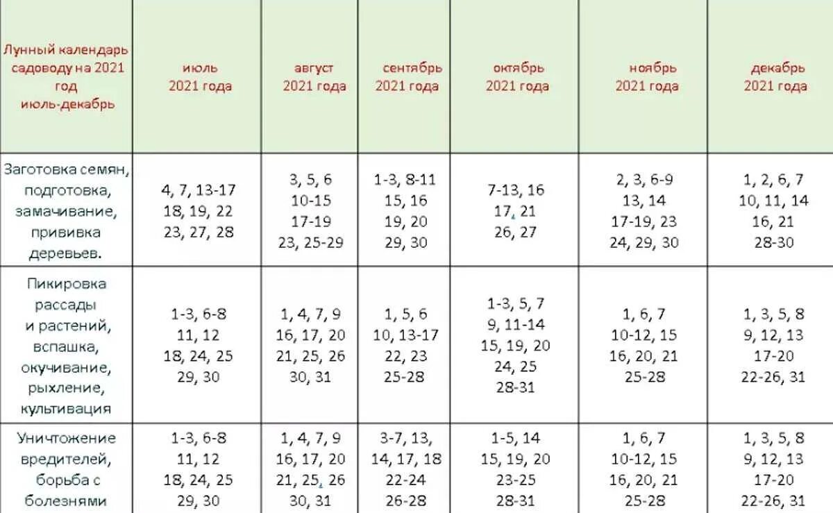 Лунный календарь 2021 огородника посадка рассады. Лунный календарь на 2021 год садовода и огородника. Лунный календарь посевной на 2021 садовода и огородника. Лунный календарь огородника на 2021 посевной на 2021 год садовода.