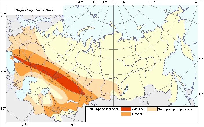 Где находится целина