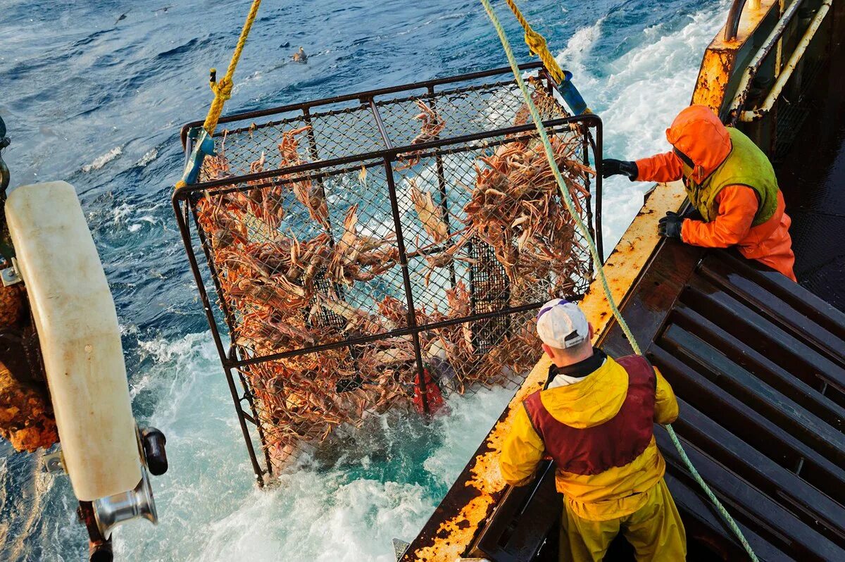 Краболовы Охотское море. Промысел Камчатского краба. Ловля крабов. Добыча краба на Дальнем востоке.