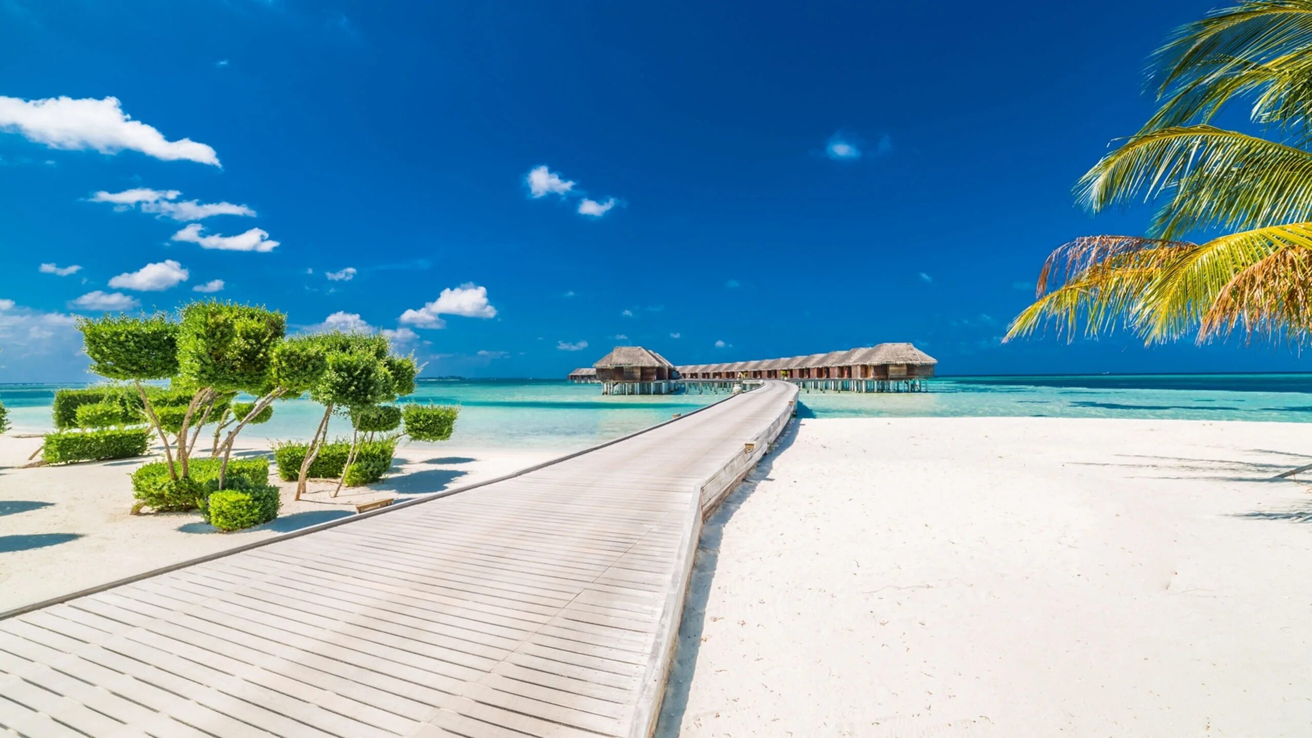 Lux South ari Atoll. Ари Атолл Мальдивы. Lux South ari Atoll 5. Атолл Велассару Мальдивы. Perfect island