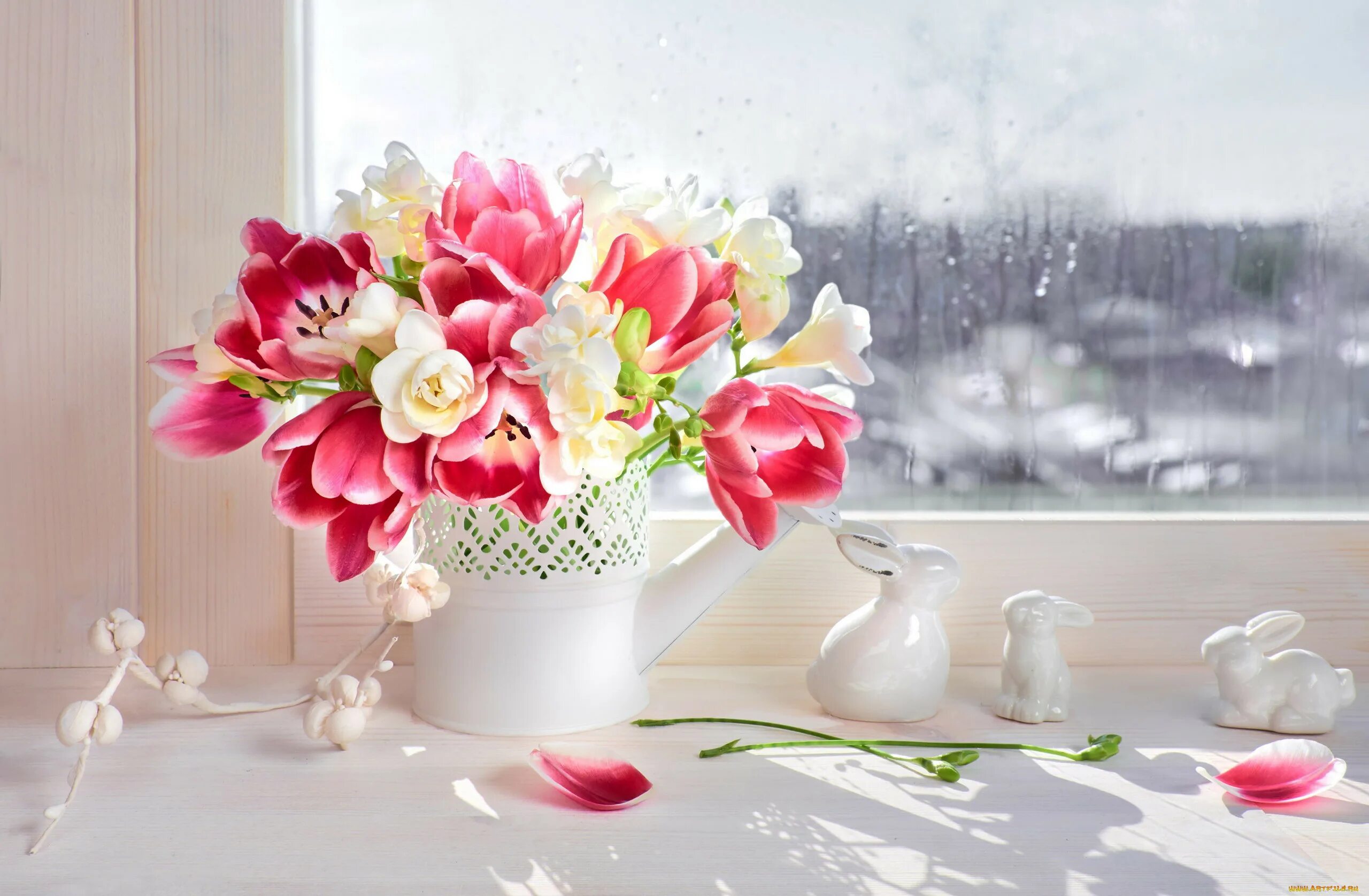 Красивые цветы в вазах. Цветы на окне. Шикарные цветы в вазе. Тюльпаны в вазе. Весенний букет цветов утром