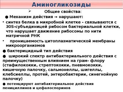 Синтез белка в бактериальной клетке
