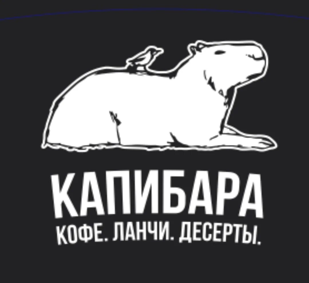 Кафе с Капибарами. Капибара кофейня. Капибара логотип. Капибара кофейня Екатеринбург. Кофейня с капибарами адрес