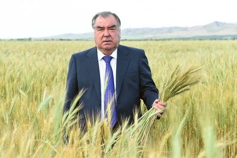 Ан поля