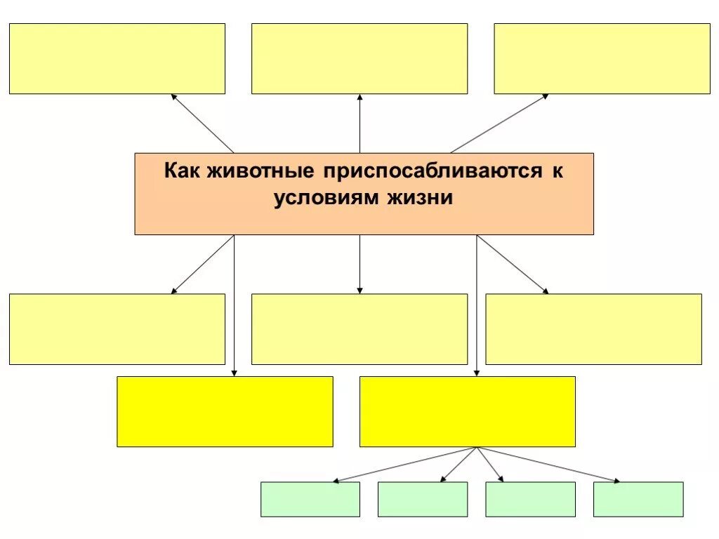 Как животные приспособлены к разной среде обитания. Таблица как животные приспосабливаются к условиям жизни. как животные приспособились к жизни. доклад как животные приспосабливаются к условиям жизни. презентация как животные приспосабливаются к условиям жизни.